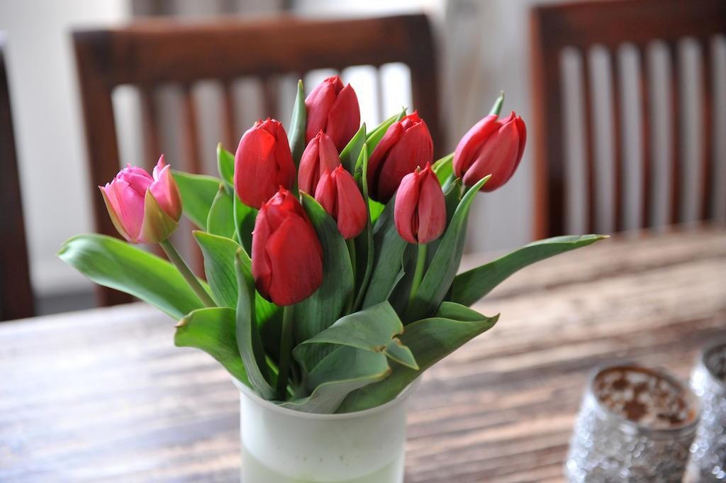 B&B Bed En Beschuit Leiden Bilik gambar